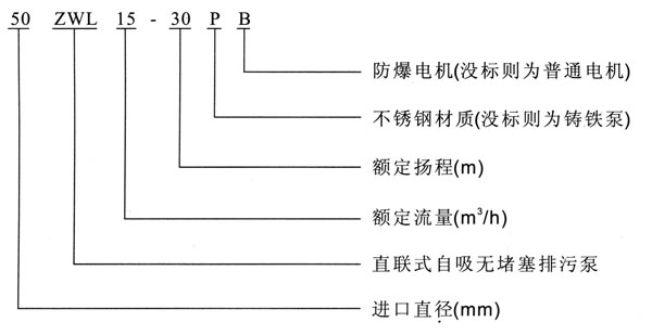 ZWL直联式自吸黄瓜下载APP最新下载型号意义
