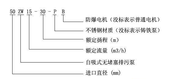 ZWB防爆自吸式无堵塞黄瓜下载APP最新下载型号意义